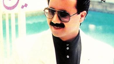 دانلود آهنگ پا به پای تو معین