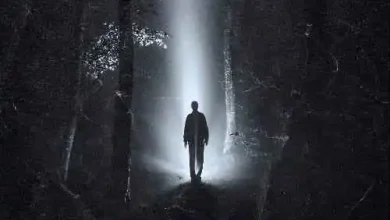 دانلود آهنگ ساختگی ممزی