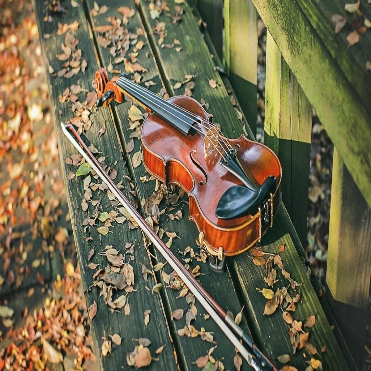 دانلود ریمیکس من دلم تنگه برات هرجا رفتم نپرید ریمیکس من دلم تنگه برات هرجا رفتم نپرید