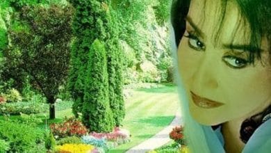 دانلود آهنگ بی نیازی حمیرا 