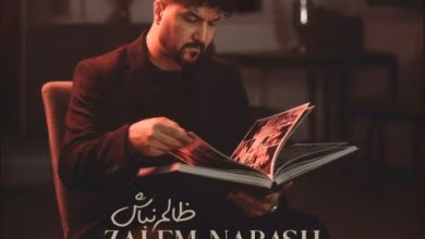 دانلود آهنگ ظالم نباش علیرضا روزگار