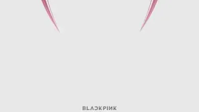 دانلود آهنگ شات داون بلک پینک