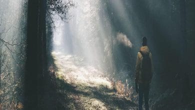 دانلود ریمیکس نیش زخم دانلود ریمیکس نیش زخم