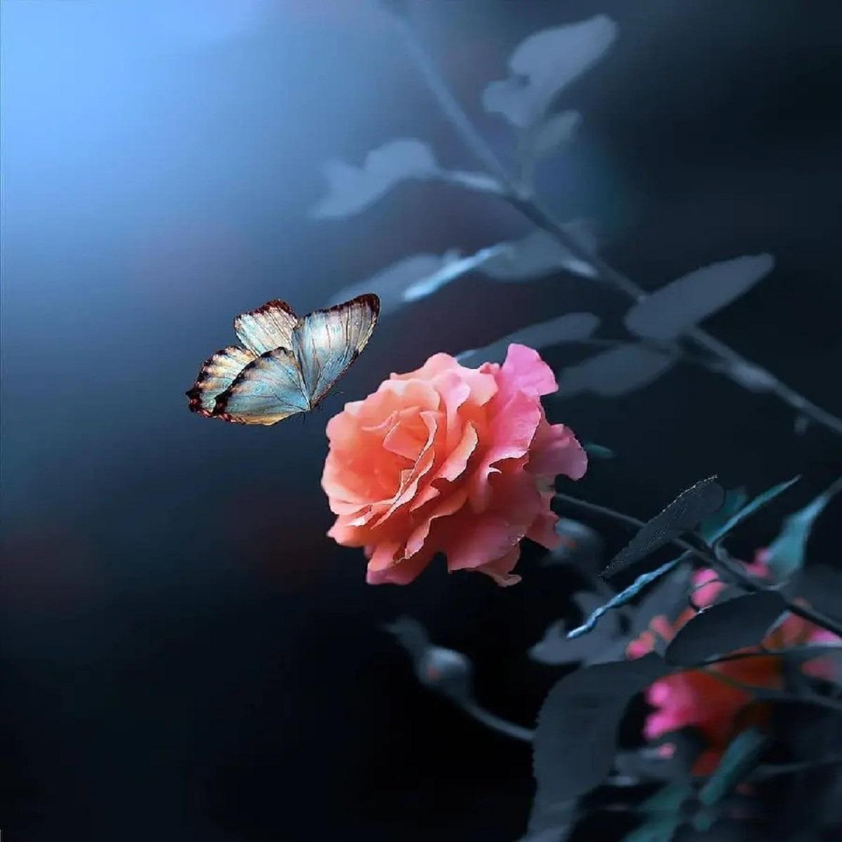 آهنگ یه جوری میخوامت که هیچ وقت با دلت بد نمیشم (هوش مصنوعی)