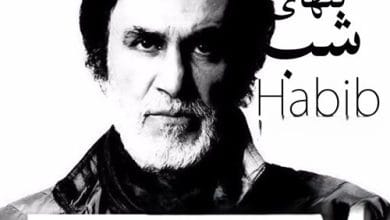 دانلود آهنگ مرد تنهای شب حبیب