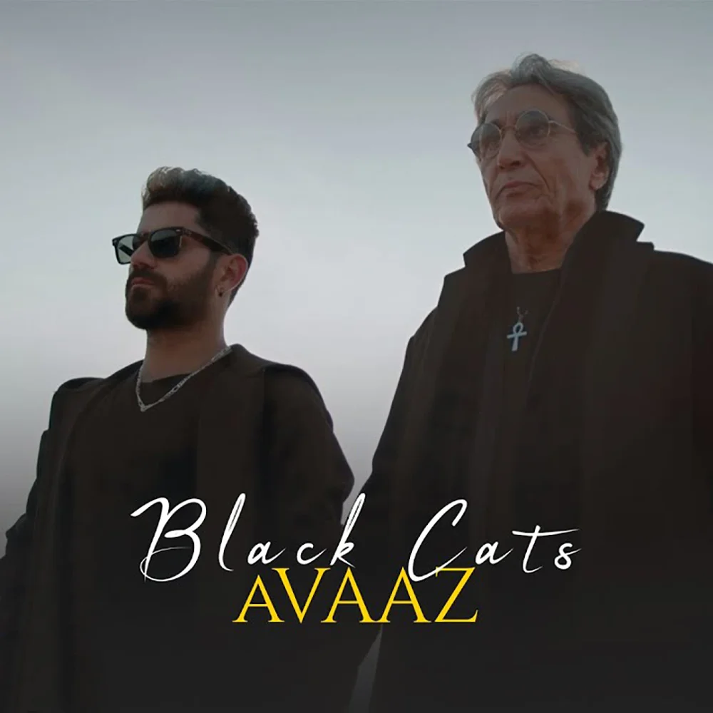 آواز بلک کتس