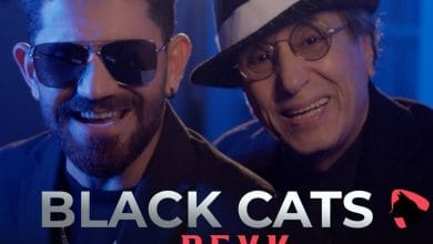 دانلود آهنگ پیک بلک کتس