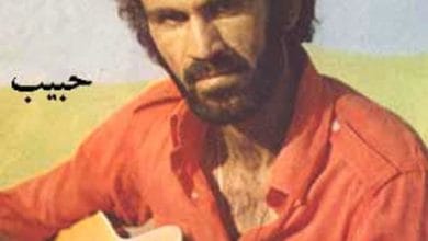 دانلود آهنگ خرس کوکی حبیب