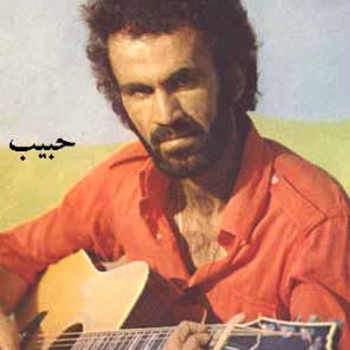 دانلود آهنگ خرس کوکی حبیب خرس کوکی حبیب