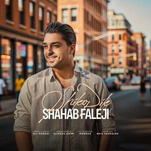 شیک و پیک شهاب فالجی