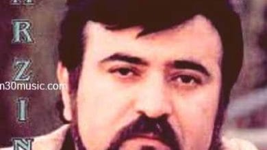 دانلود آهنگ نگو دیره فرزین