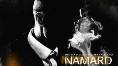 دانلود ریمیکس نامرد