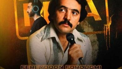 دانلود ریمیکس دیوانه ی من