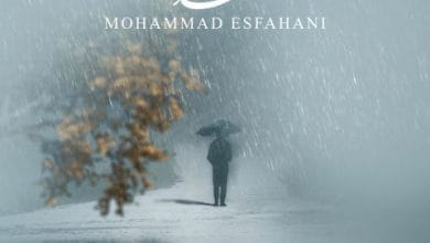 دانلود آهنگ زیر بارون محمد اصفهانی دانلود آهنگ زیر بارون محمد اصفهانی