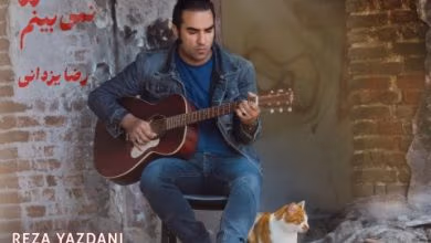 دانلود آهنگ دیگه خوابت رو نمی‌ بینم رضا یزدانی