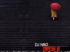 دانلود ریمیکس تپش 12