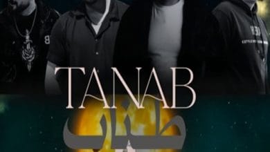 دانلود ریمیکس طناب 9