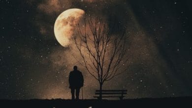 دانلود آهنگ سلام محمد اصفهانی دانلود آهنگ سلام محمد اصفهانی