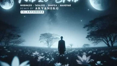دانلود ریمیکس نبض شب دانلود ریمیکس نبض شب