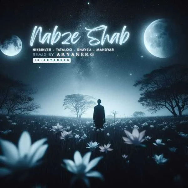 دانلود ریمیکس نبض شب ریمیکس نبض شب