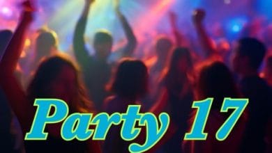 دانلود ریمیکس پارتی 17