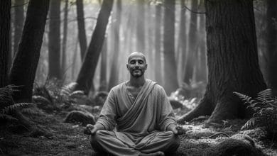 دانلود گلچین آهنگ های کلاسیک برای مدیتیشن