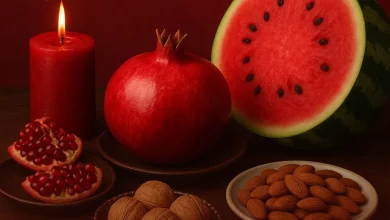 دانلود ریمیکس دنس زون 22