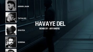 دانلود ریمیکس هوای دل