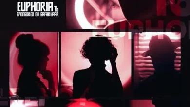 دانلود ریمیکس یوفوریا 16