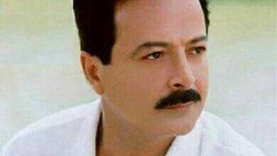 دانلود آهنگ حظ کردم شاهرخ