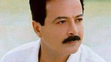 دانلود آهنگ حظ کردم شاهرخ