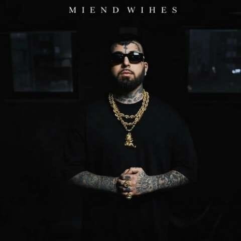 کم نمیاد ویناک