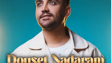 دانلود آهنگ دوست ندارم رضا مریدی