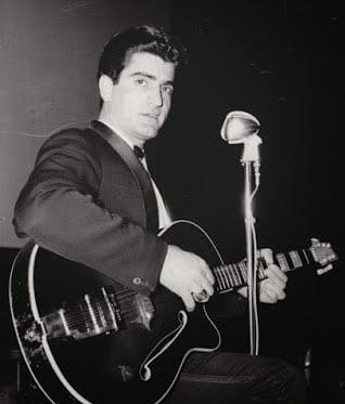 پری دریا ویگن