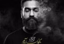 دانلود آهنگ بخواب آروم علی زند وکیلی