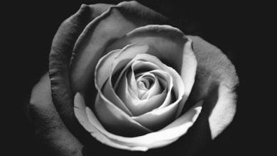 دانلود ریمیکس احساسی ولنتاین میکس ۲۰۲۶