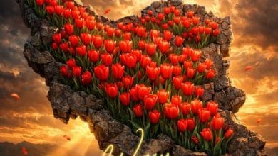 دانلود پادکست ققنوس دیجی ورسی